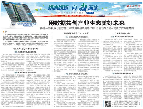 用數(shù)據(jù)共創(chuàng)產(chǎn)業(yè)生態(tài)美好未來——長沙數(shù)字集團(tuán)全速邁向全國一流數(shù)字產(chǎn)業(yè)服務(wù)商